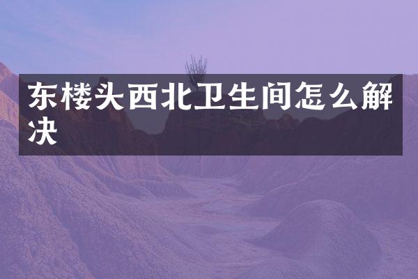 东楼头西北卫生间怎么解决