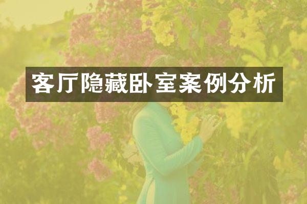 客厅隐藏卧室案例分析
