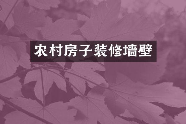 农村房子装修墙壁