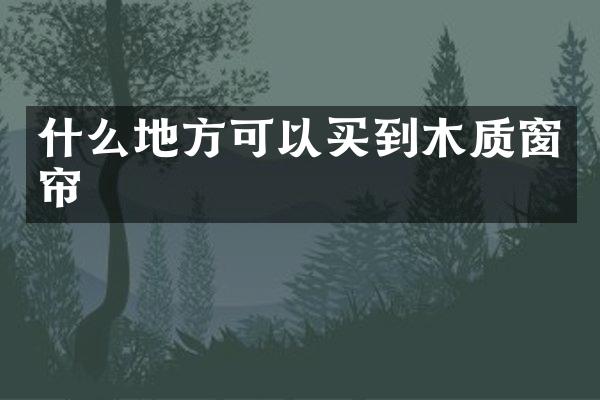 什么地方可以买到木质窗帘
