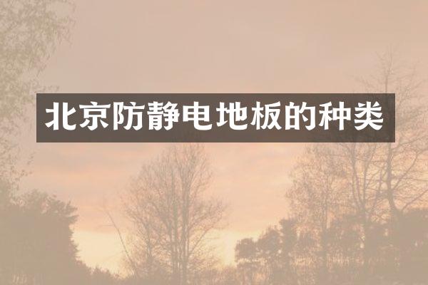 北京防静电地板的种类