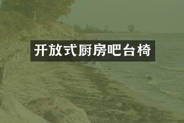 开放式厨房吧台椅