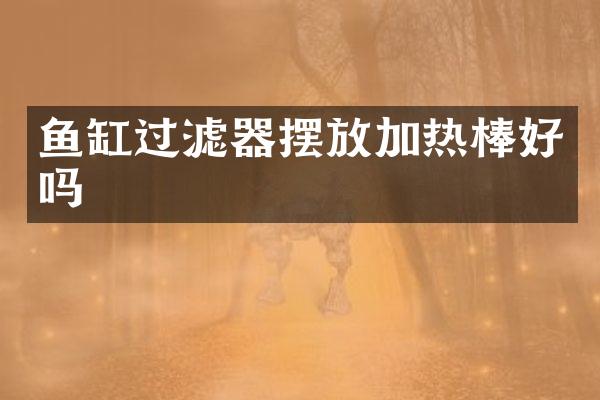 鱼缸过滤器摆放加热棒好吗