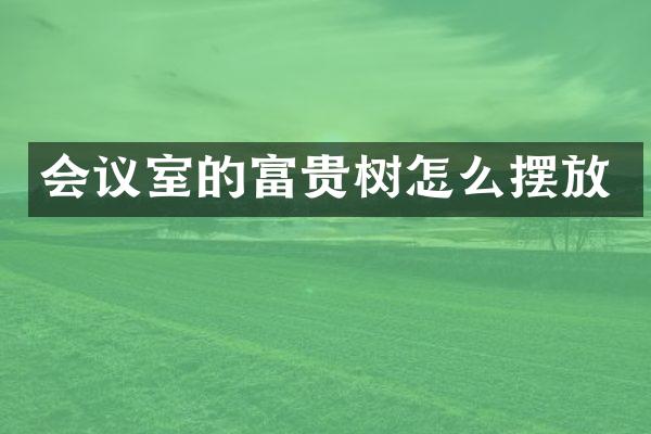 会议室的富贵树怎么摆放
