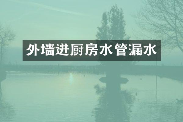 外墙进厨房水管漏水