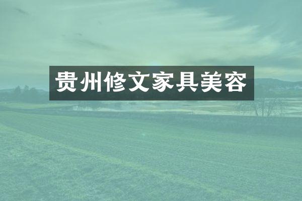 贵州修文家具美容