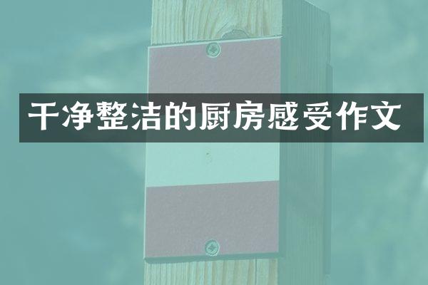 干净整洁的厨房感受作文