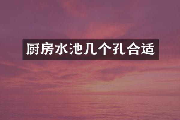 厨房水池几个孔合适