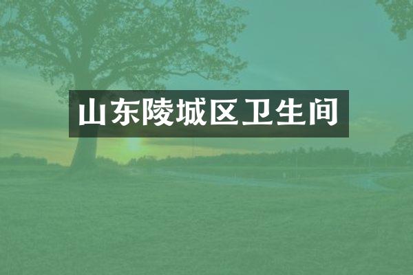 山东陵城区卫生间