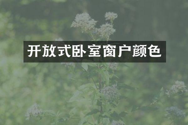 开放式卧室窗户颜色