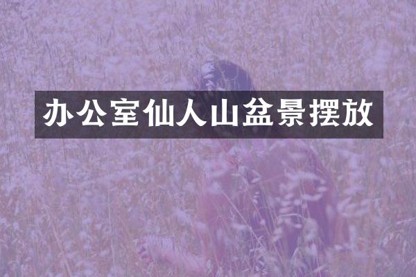 办公室仙人山盆景摆放