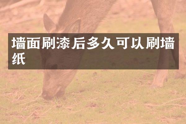 墙面刷漆后多久可以刷墙纸