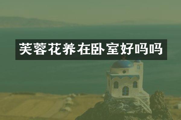 芙蓉花养在卧室好吗吗