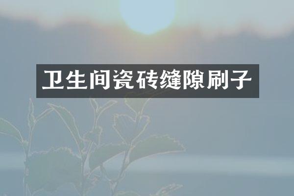 卫生间瓷砖缝隙刷子