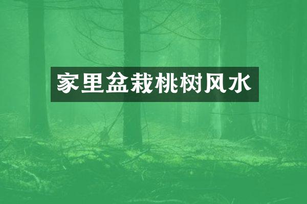 家里盆栽桃树风水