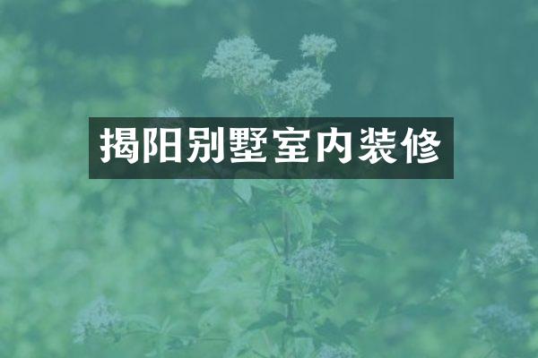 揭阳别墅室内装修