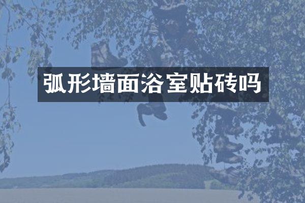 弧形墙面浴室贴砖吗