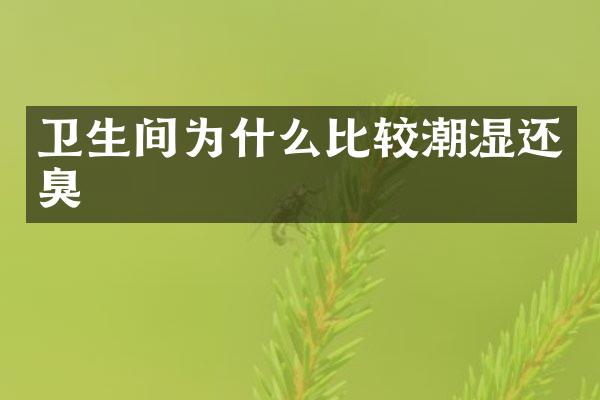 卫生间为什么比较潮湿还臭