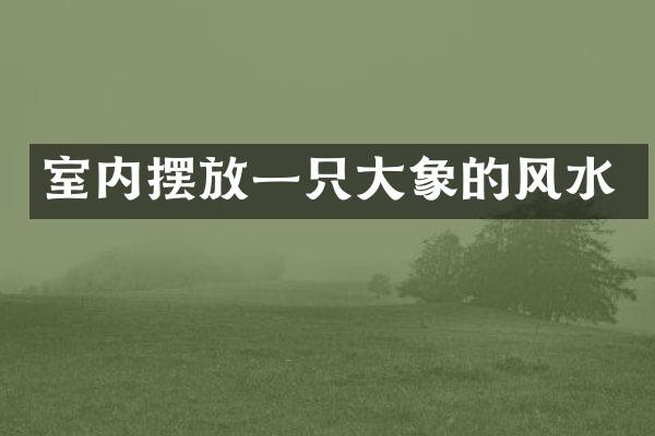 室内摆放一只大象的风水