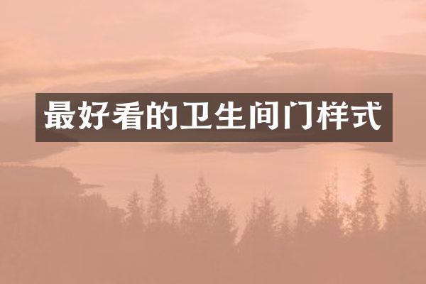 最好看的卫生间门样式
