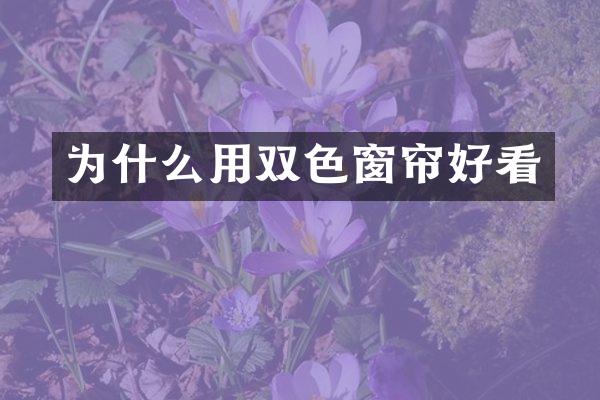 为什么用双色窗帘好看