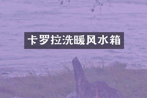 卡罗拉洗暖风水箱