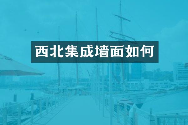 西北集成墙面如何