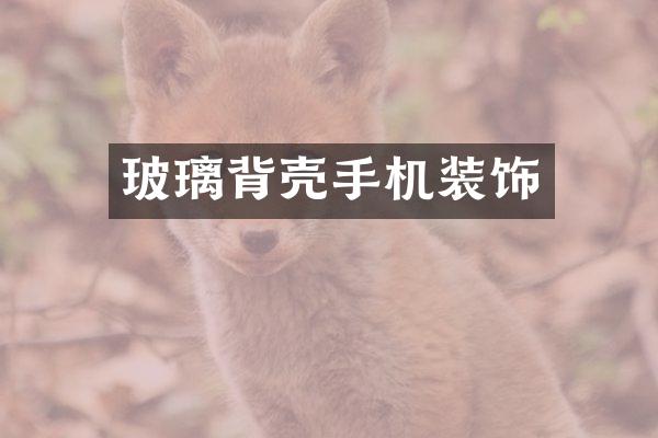 玻璃背壳手机装饰