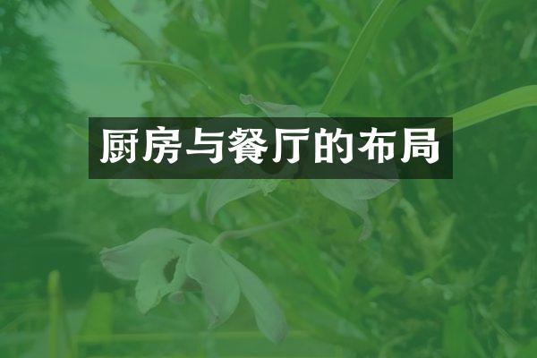厨房与餐厅的布局