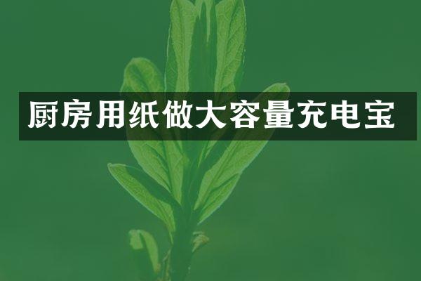 厨房用纸做大容量充电宝