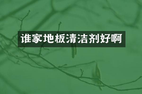 谁家地板清洁剂好啊