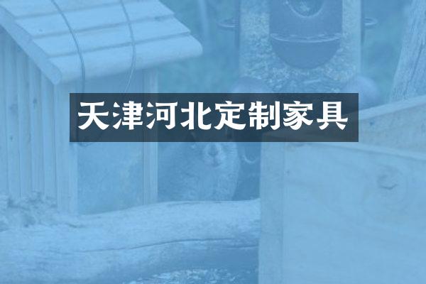 天津河北定制家具