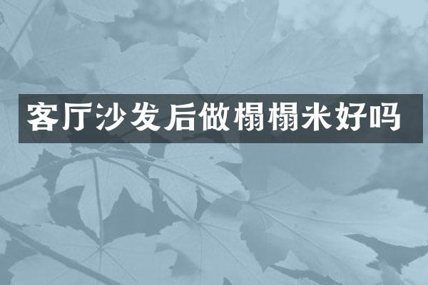 客厅沙发后做榻榻米好吗