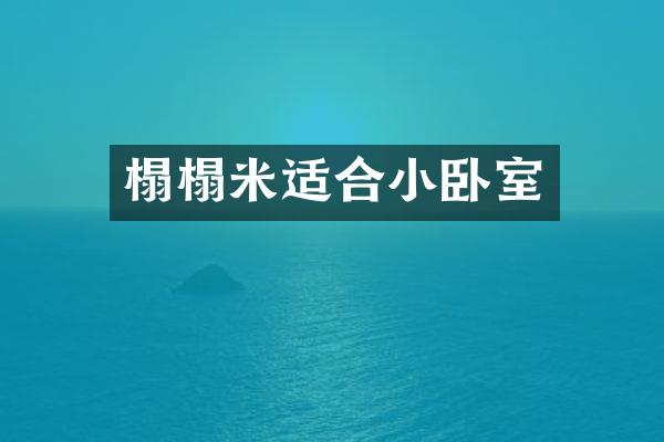 榻榻米适合小卧室