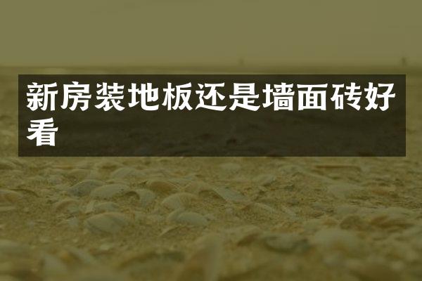 新房装地板还是墙面砖好看