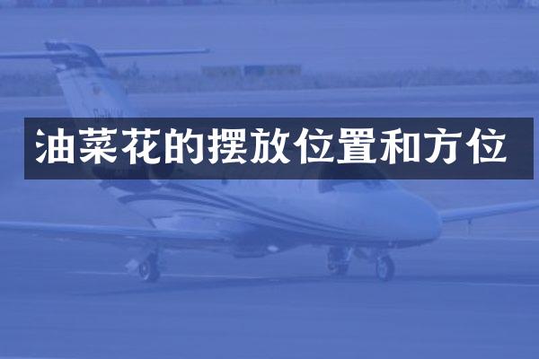 油菜花的摆放位置和方位