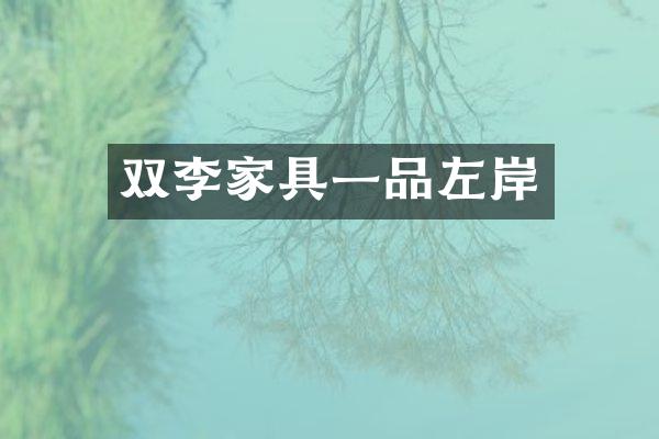 双李家具一品左岸