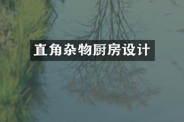 直角杂物厨房设计