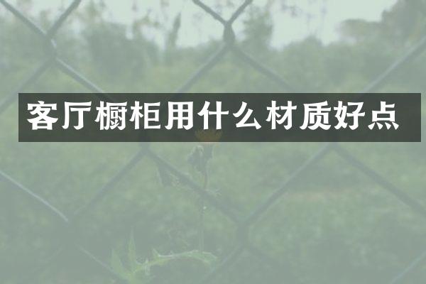 客厅橱柜用什么材质好点