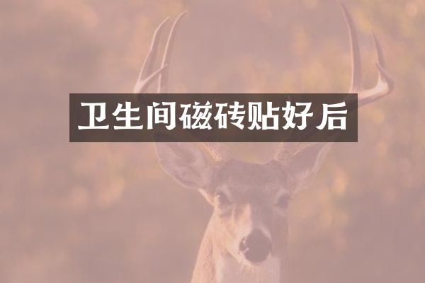卫生间磁砖贴好后