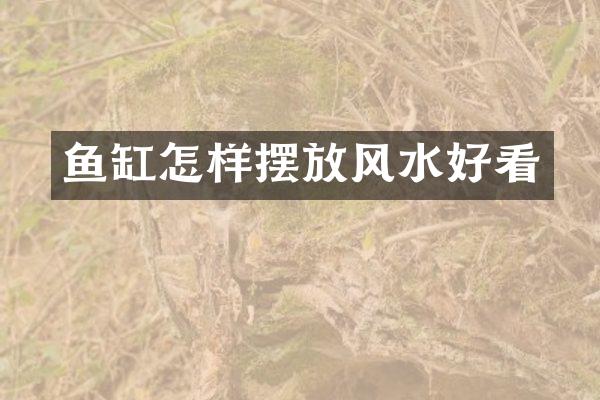 鱼缸怎样摆放风水好看