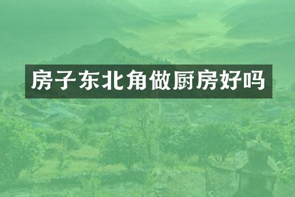 房子东北角做厨房好吗