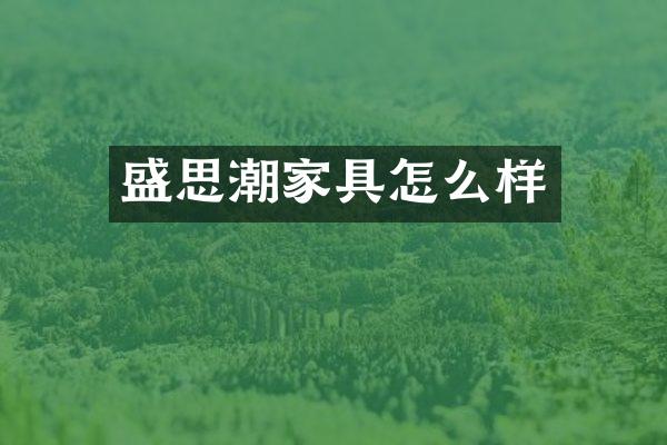 盛思潮家具怎么样