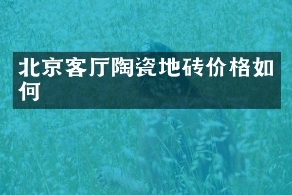 北京客厅陶瓷地砖价格如何