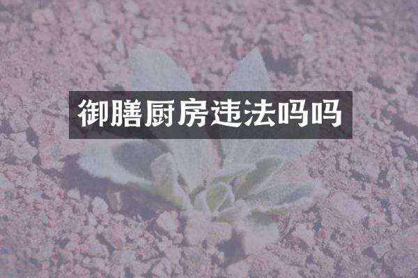 御膳厨房违法吗吗