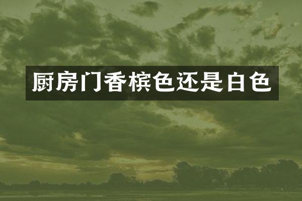 厨房门香槟色还是白色