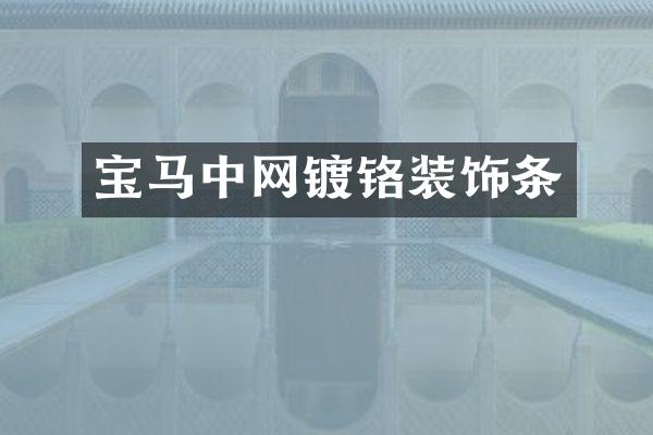 宝马中网镀铬装饰条