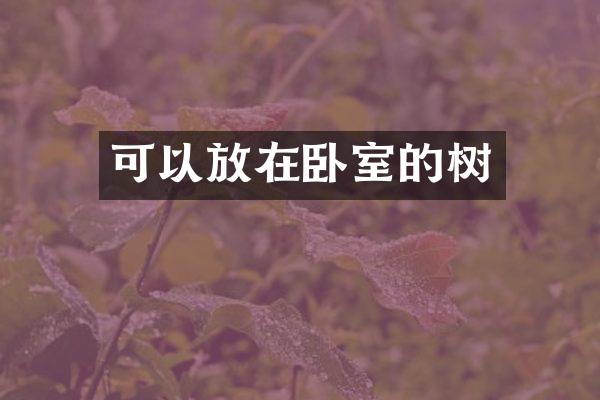 可以放在卧室的树