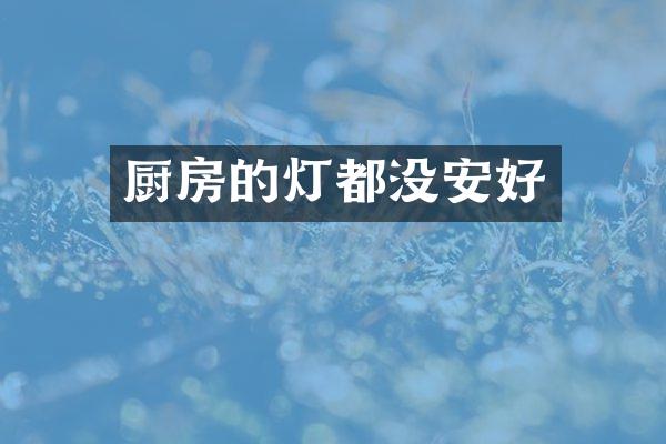 厨房的灯都没安好