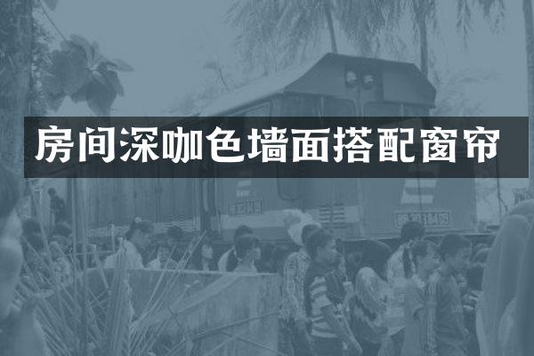 房间深咖色墙面搭配窗帘